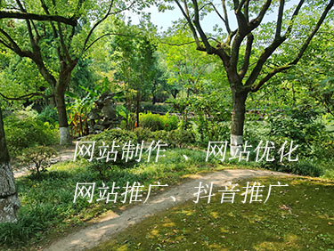 網站建設